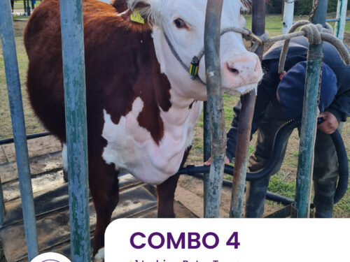 Combo 4 Agro